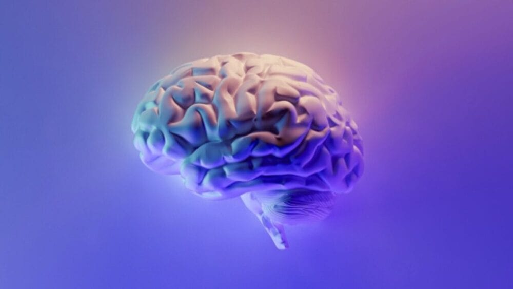 2023/04/mind-map-2.jpg